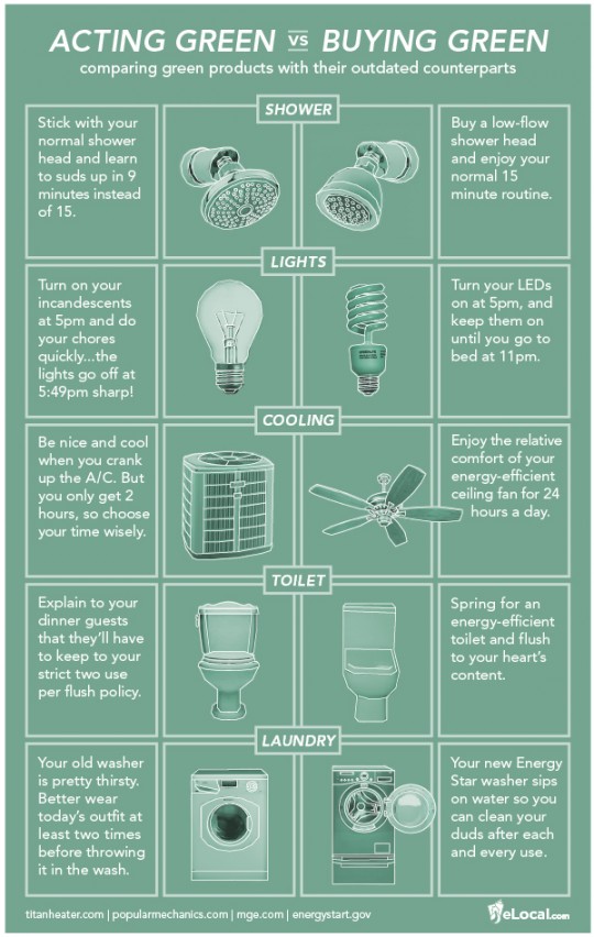 Ac ting Green vs. Buying Green