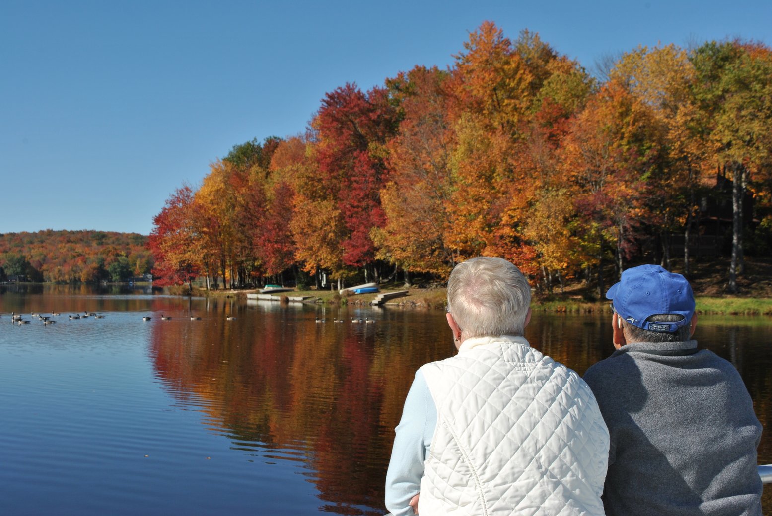 Why Live in Brier Crest Woods