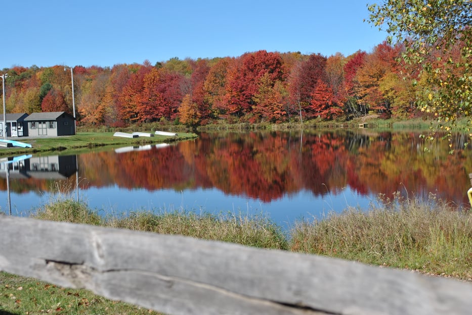 Why Live in Arrowhead Lakes