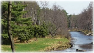 Get-away-to-Thornhurst-Township