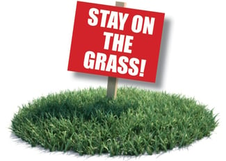 How-to-prepare-your-Poconos-lawn-for-summer