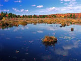 Tobyhanna-State-Park.jpg