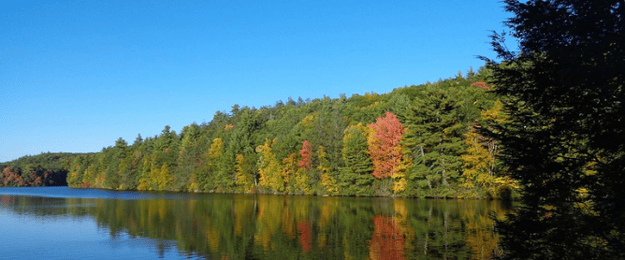 chasing-fall-foliage-poconos-2020