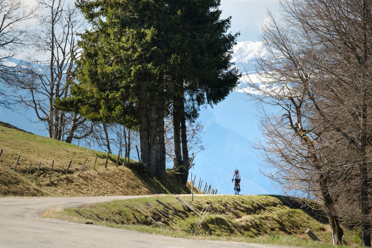 Why Live in Brier Crest Woods